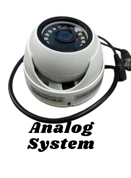 Analog System